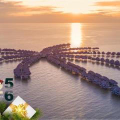 Golden Palm Tree Sepang