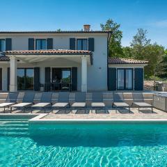 Luxury villa Arman with whirlpool in Visinada