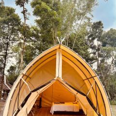 Kayi glamping