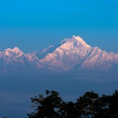 SILVERBERRY Homestay