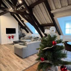 Le Laurencin Sens - Le Family - Cœur de ville