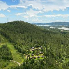 Stunning Home In Ekshärad With Wifi