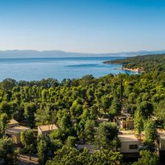 Beautiful Home In Njivice