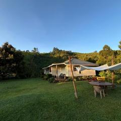 Tea-farm cottage by Aberdare forest river - 2348