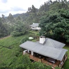 Aberdares Riverside Tea Cottage 1BR - 2349