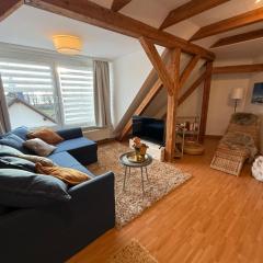 Apartment nahe Senftenberger See - Wohnung 1