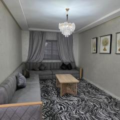 nice modern apartment