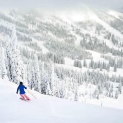 European Schweitzer Mountain Chalet with Hot tub