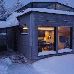 Levi Lapland Luxury Igloos D