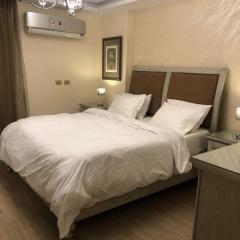 Luxurious Flat near downtown