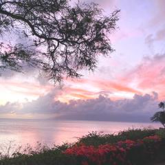 NEW KBM Resorts FREE CAR Napili Point 2 Bedroom Multi Unit Listing with Private Ocean view Oasis ML-3494