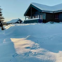 Cosy Cabin By Golsfjellet Ski Resort