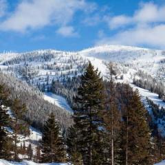 Chalet Chic! Lake and Ski Access Nearby Fish Pond