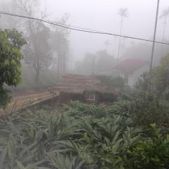 Cardamom couple saty vagamon