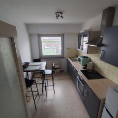F2 cozy centre ville proche bale et tram