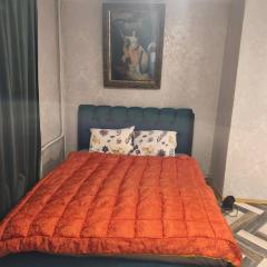 Comfortable flat,close to the nature