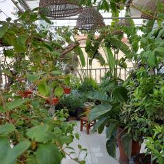 Alleyhomestay- Trần Đại Nghĩa