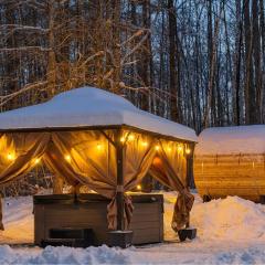 Stratton Ski Haus, Green Mountain Wellness Retreat, Hot Tub & Barrel Sauna
