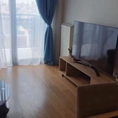 Premium Apartment Verde Lux