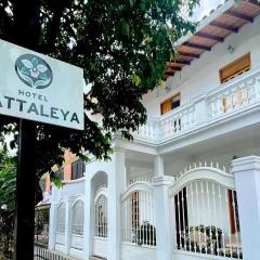 Hotel Cattaleya
