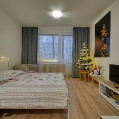 Apartmán Tatranská Lomnica