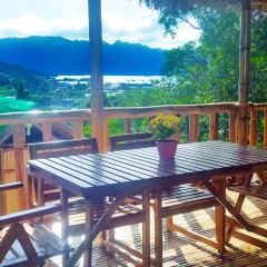 Hilltop seaview chalet, with AC, private bathroom, kitchen & balcony