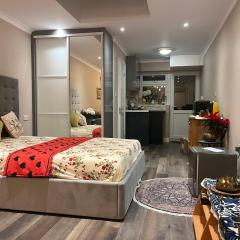 Cosy self-contained extension with skylight & garden view