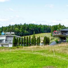 Amazing Apartment In Miedzybrodzie Zywiec