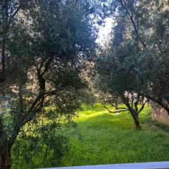 ALIO Seaside Maisonette