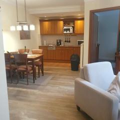 Holiday apartment in Balm with swimming pool