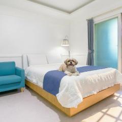 yangpyeong beulleosseom pet spa pension