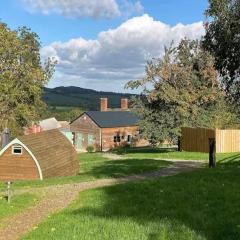 The Orchard - Ukc7804