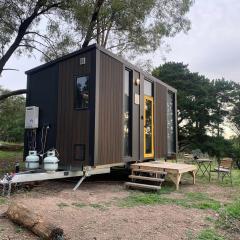 Crystal by Tiny Away