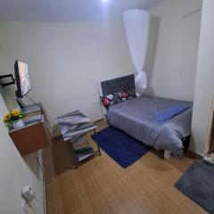 Humble Homes studio apartment Thika Town CBD access to Netflix,wifi and views