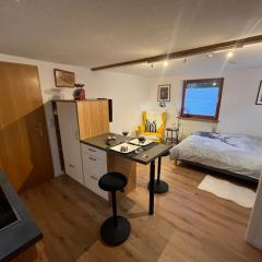 Schwarzwald-Nest Lenzkirch