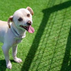 Gangneng Soowarae Pension