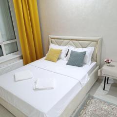 Центр Алматы 11