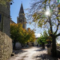 Rustic villa Casa Mazuli with pool in Groznjan