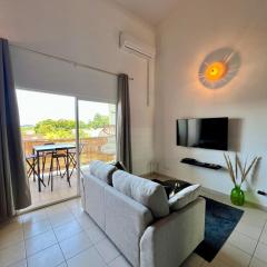 Air-conditioned studio with mezzanine in Cayenne