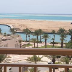 زهور المدينة