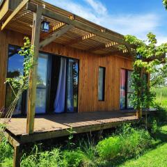 Cabañas Natural Box 1