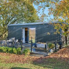 Host & Stay - Molly Mod