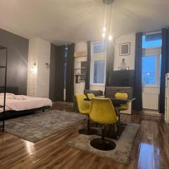 Studio near the Metropolitan Church