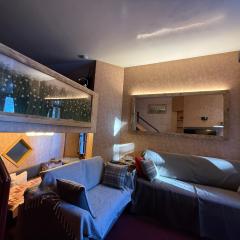 THE NEST Alpine Loft Ski-in Ski-out