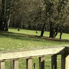 Belvédère Du Haut Doubs