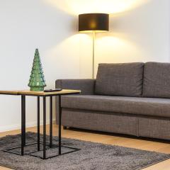 Central Premium Renovated Apartment with River View