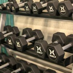 Holiday Inn Express & Suites Nashville North - Springfield by IHG