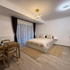 The View Studio 2 Busteni