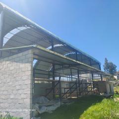 Nuevo campo verde eirl