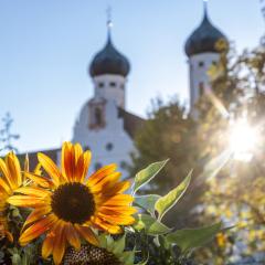 Zentrum für Umwelt und Kultur - Gästehaus und Jugendbildungseinrichtung im Maierhof